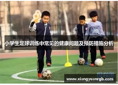 小学生足球训练中常见的健康问题及预防措施分析